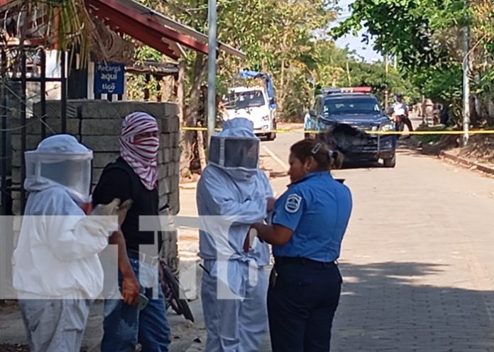 Foto: Abejas africanizadas mandan al hospital a un menor de edad y su padre en Carazo/TN8