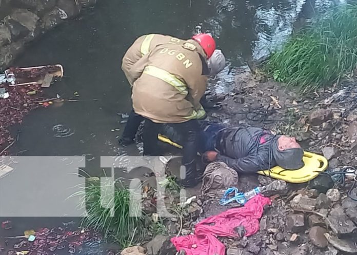 Foto: Enjambre de abejas atacan salvajemente a un hombre en Estelí/TN8