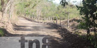 Foto: Inauguran 6 kilómetros de camino productivo, Comarca Pijibay en La Libertad, Chontales/TN8