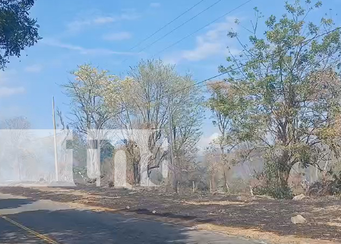 Foto: Mano del hombre, es el principal causante de los incendios forestales en Rivas/TN8