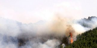 Foto: Desastre ambiental en Guatemala /cortesía