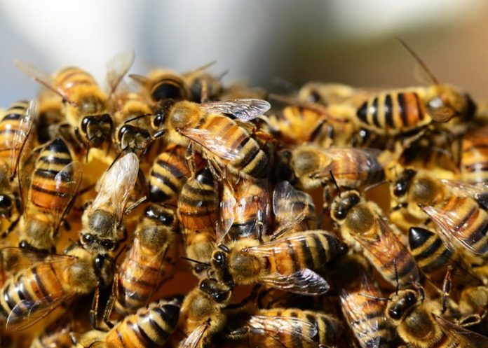 Advirtió sobre la presencia de “monstruos” en su cuarto