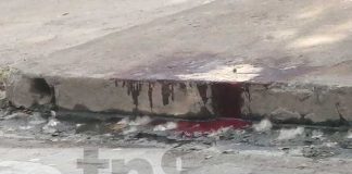 Foto: Charco de sangre frente a una vivienda en Granada / TN8