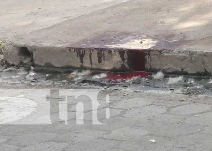 Foto: Charco de sangre frente a una vivienda en Granada / TN8