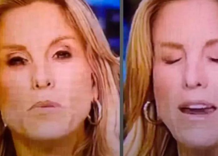 Foto: Mosca sorprende a Periodista /cortesía