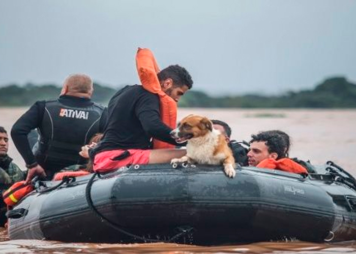 Foto: Emergencia y Brasil /cortesía