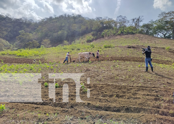 Productores listos para iniciar el proceso de siembra