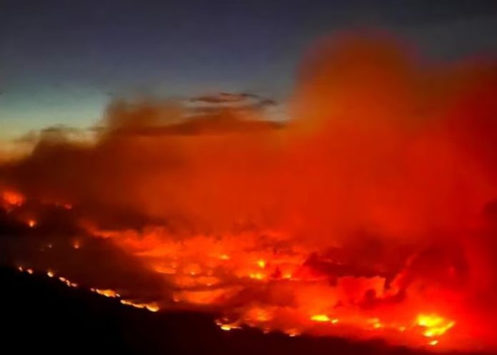 Preocupa el avance de los incendios en Canadá y provocan evacuaciones