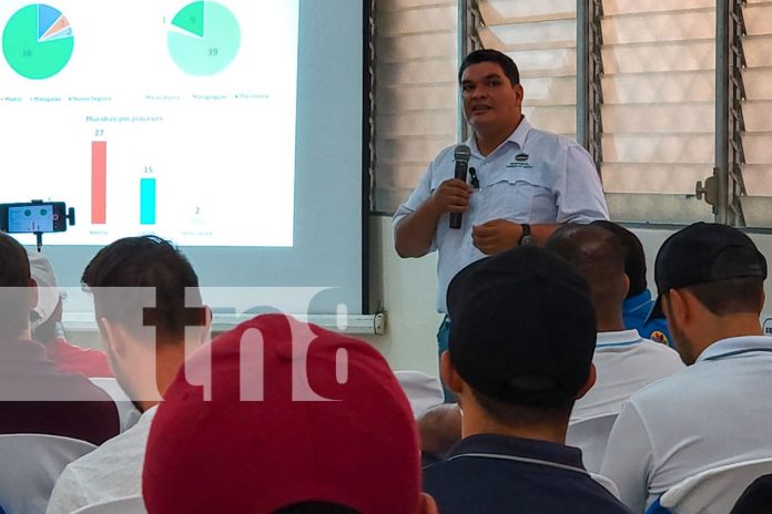 Lanzan la II Competencia Regional 'The Best of Maragos 2024' en Ocotal