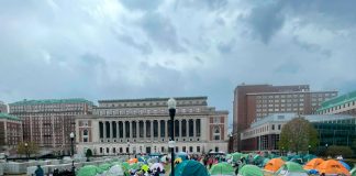 Foto: Universidad de Harvard termina protestas /cortesía