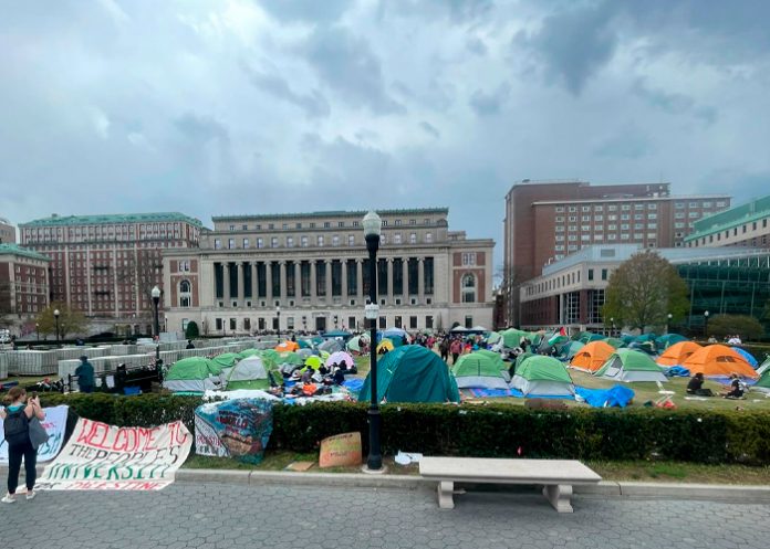 Foto: Universidad de Harvard termina protestas /cortesía