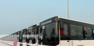 Nicaragua fortalece su transporte, con la llegada de 250 buses nuevos desde China