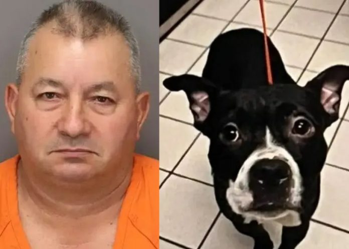 Hombre de Florida decapita a su perro