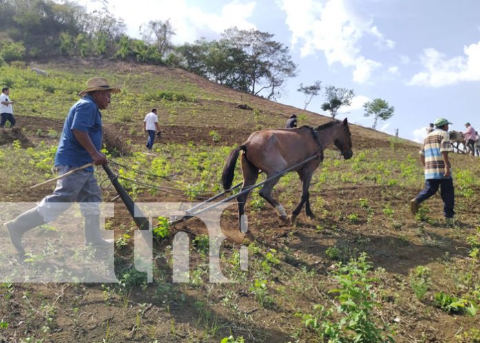 Productores listos para iniciar el proceso de siembra