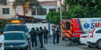 Foto: Capturan en México "banda de pintas" /cortesía