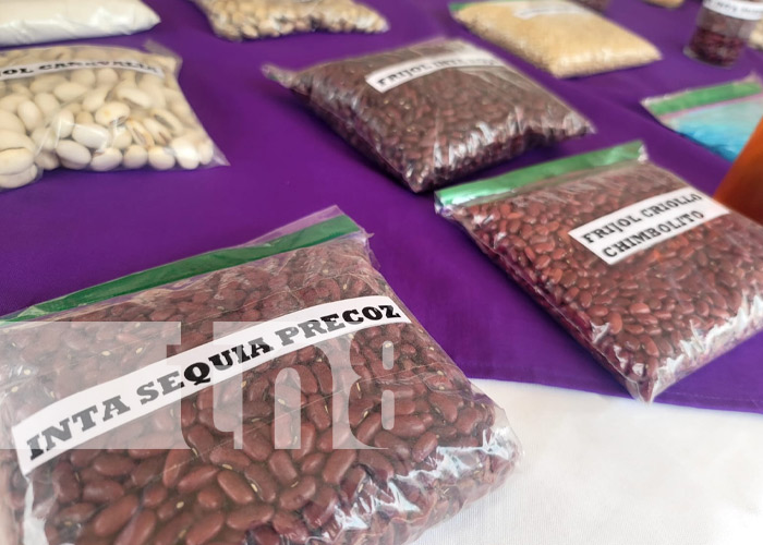 Feria de variedades de semillas criollas en Boaco 