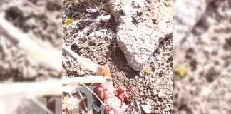 Foto: ¡Espeluznante hallazgo! Encuentran brujería en el cementerio de Granada/TN8