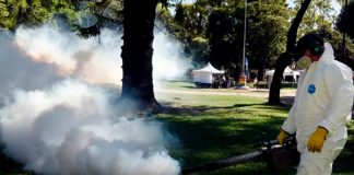 Foto: Dengue descontrolado en Argentina /cortesía