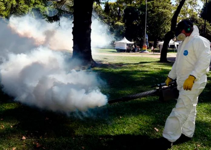 Foto: Dengue descontrolado en Argentina /cortesía