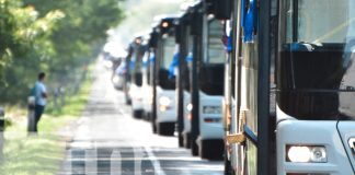 Foto: 250 unidades de buses se incorporan al transporte urbano colectivo de Managua /TN8