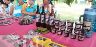 Foto; Premian a vino, pastel y chocolate en festival departamental de cacao en Siuna/ TN8