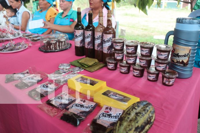 Foto; Premian a vino, pastel y chocolate en festival departamental de cacao en Siuna/ TN8