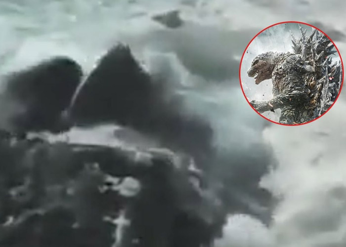 Foto: "Parece Godzilla" Captan extraña criatura marina saliendo del mar (Video) / Cortesía