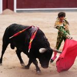 Prohibidas las corridas de toros en Colombia 