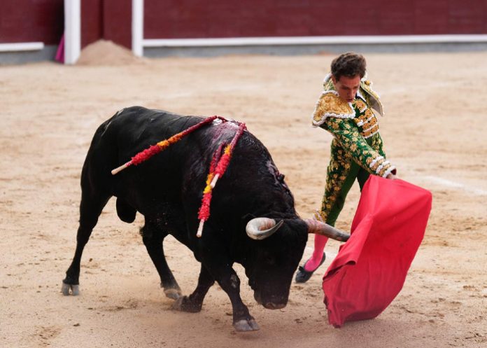 Prohibidas las corridas de toros en Colombia 