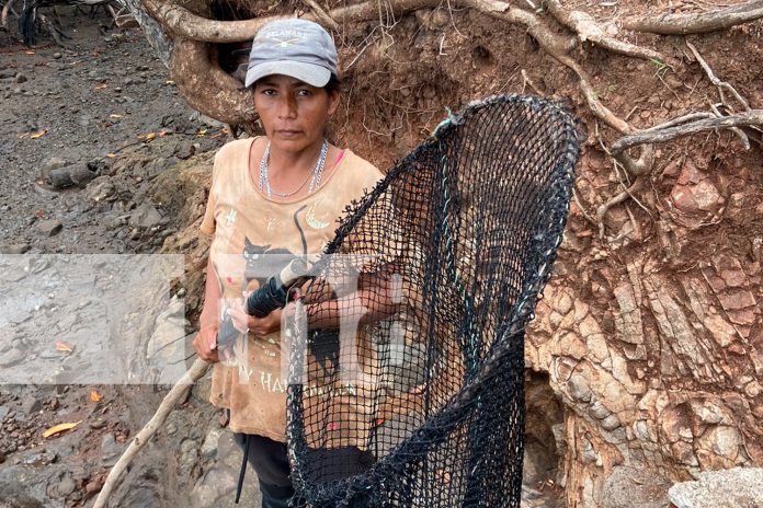 Foto: Mujeres de Chinandega trabajan en la pesca para sacar adelante a sus familias / TN8