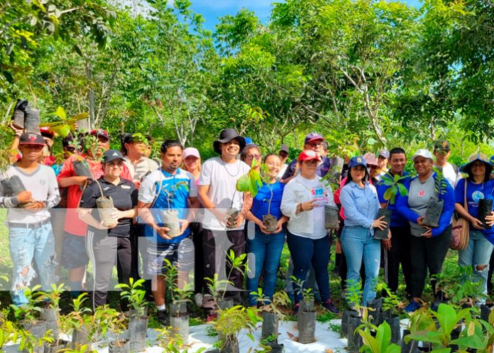 Foto; Alcaldía de Managua y Jóvenes Deportistas, reforestan 3.7 kilómetros de la pista Larreynaga/ TN8