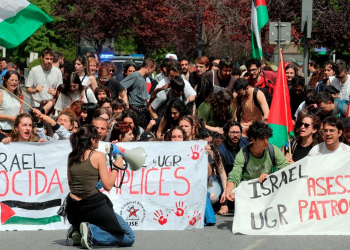 Foto: Universidades en España alzan la voz /cortesía