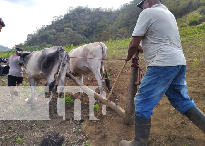 Productores listos para iniciar el proceso de siembra