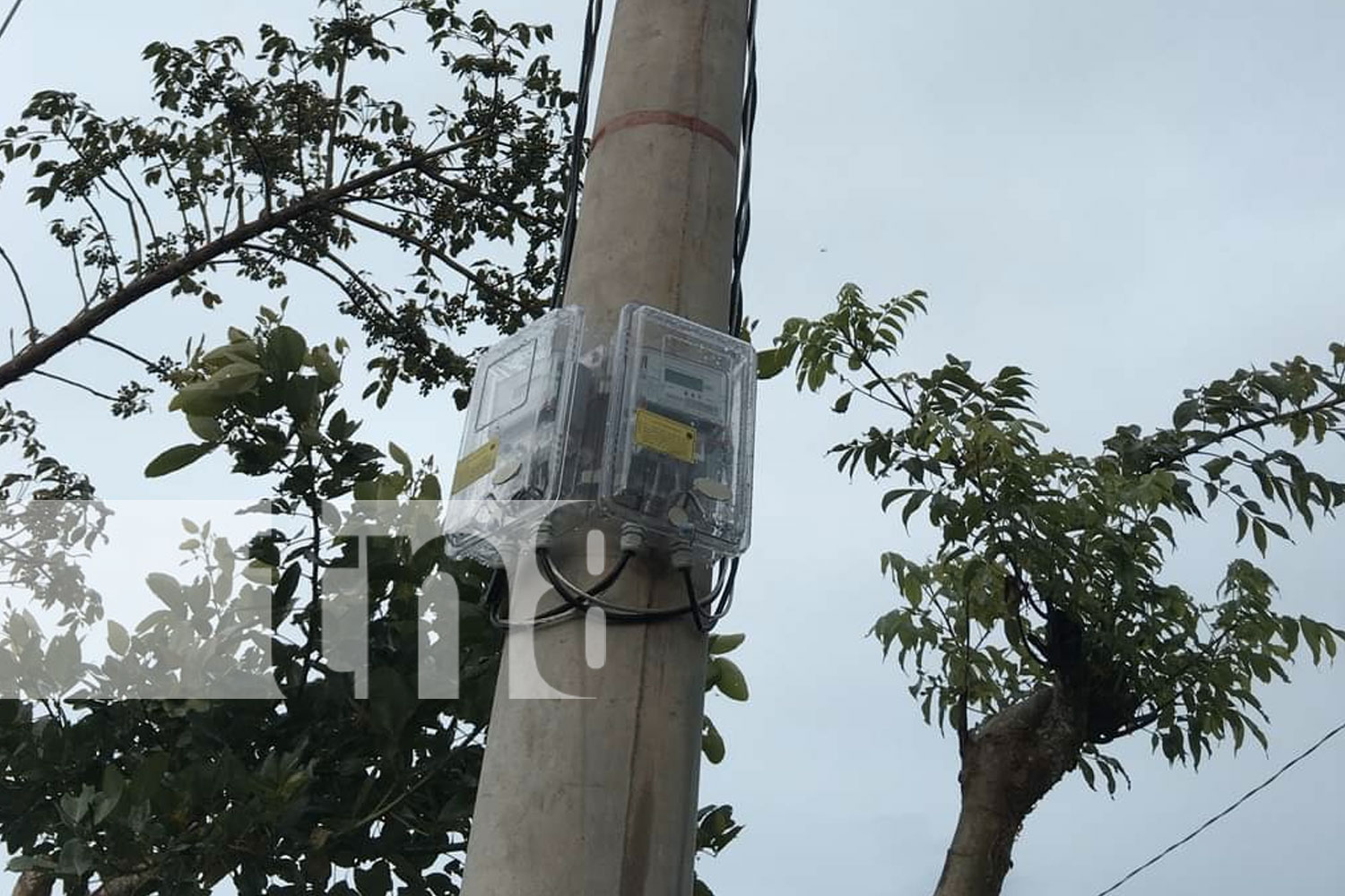 Foto: Electrificación llega a comunidad de Camoapa beneficiando a 71 familias/TN8