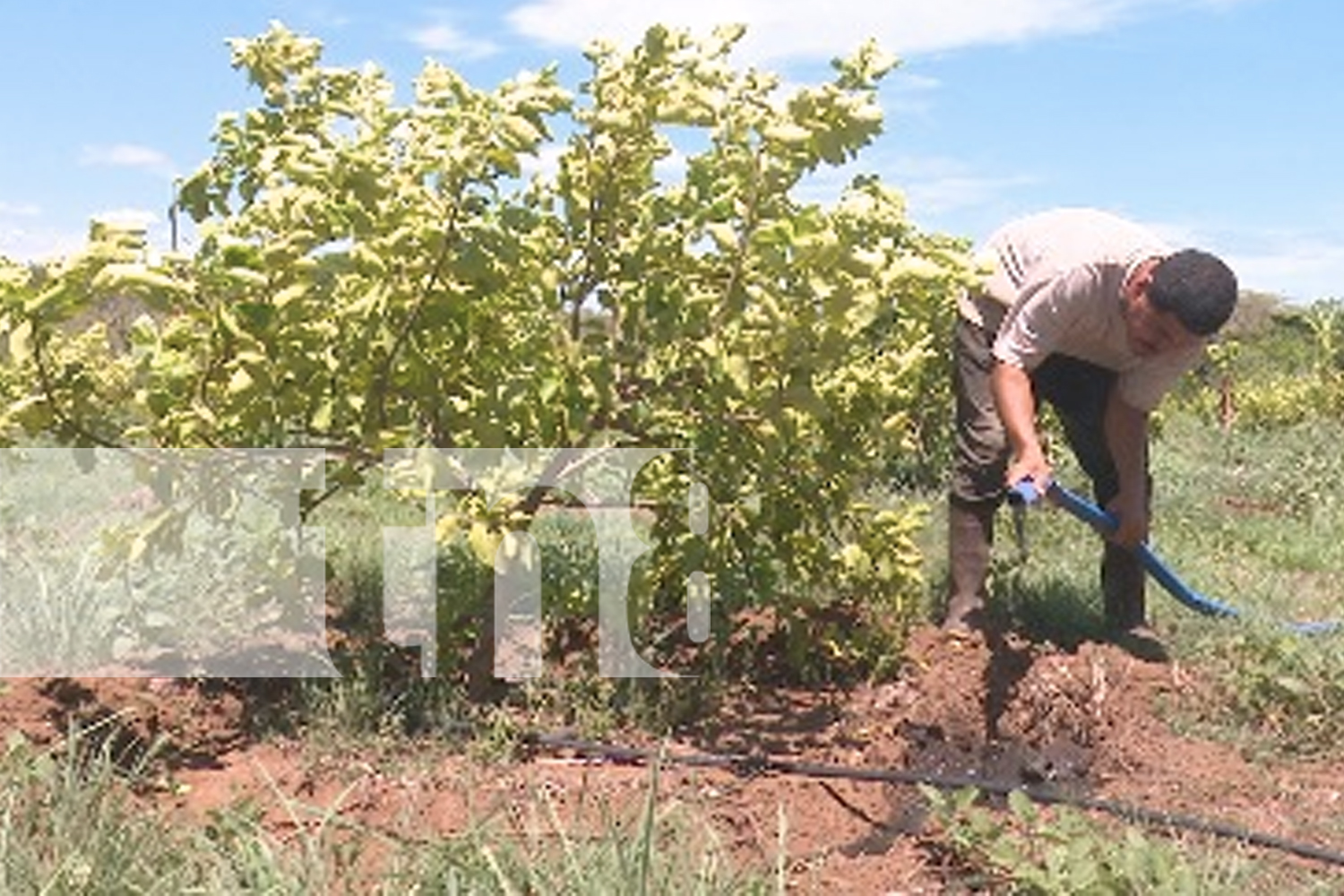 Compromiso con el desarrollo del sector agrícola en Nagarote