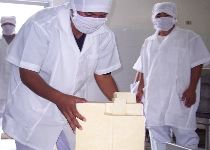 Foto:Producción de queso en buen crecimiento en las exportaciones/Cortesía 