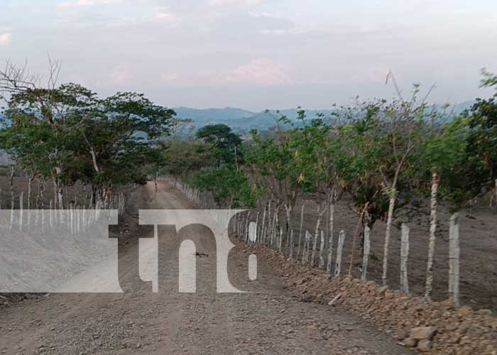 Foto: Mejores condiciones de caminos rurales en La LIbertad, Chontales / TN8