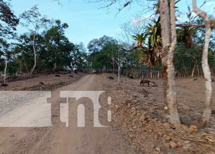 Foto: Mejores condiciones de caminos rurales en La LIbertad, Chontales / TN8