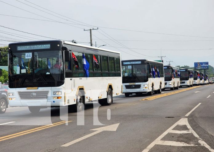 Foto: Buses chinos pasan por la ciudad de León / TN8