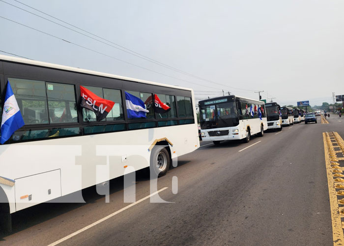 Foto: Buses chinos pasan por la ciudad de León / TN8