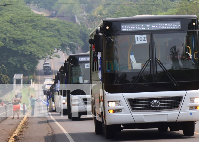 Foto: Buses chinos pasan por la ciudad de León / TN8