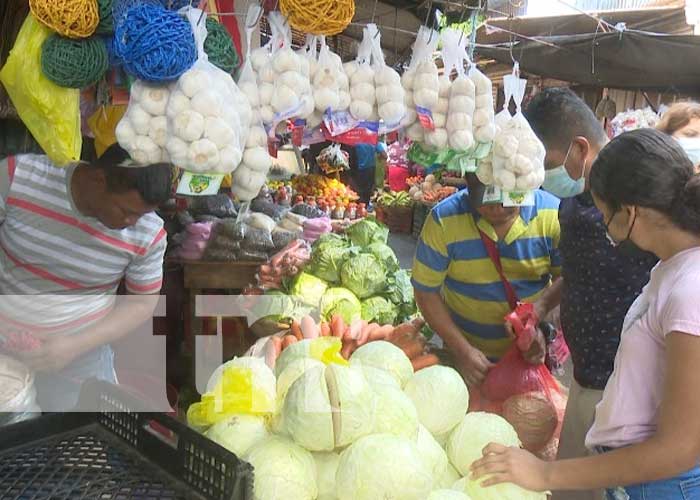 Foto: Productos de la canasta básica bajan de precio / TN8