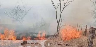 Foto: Incendio de maleza en una zona de Ometepe / TN8