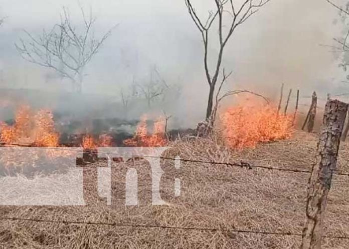 Foto: Incendio de maleza en una zona de Ometepe / TN8