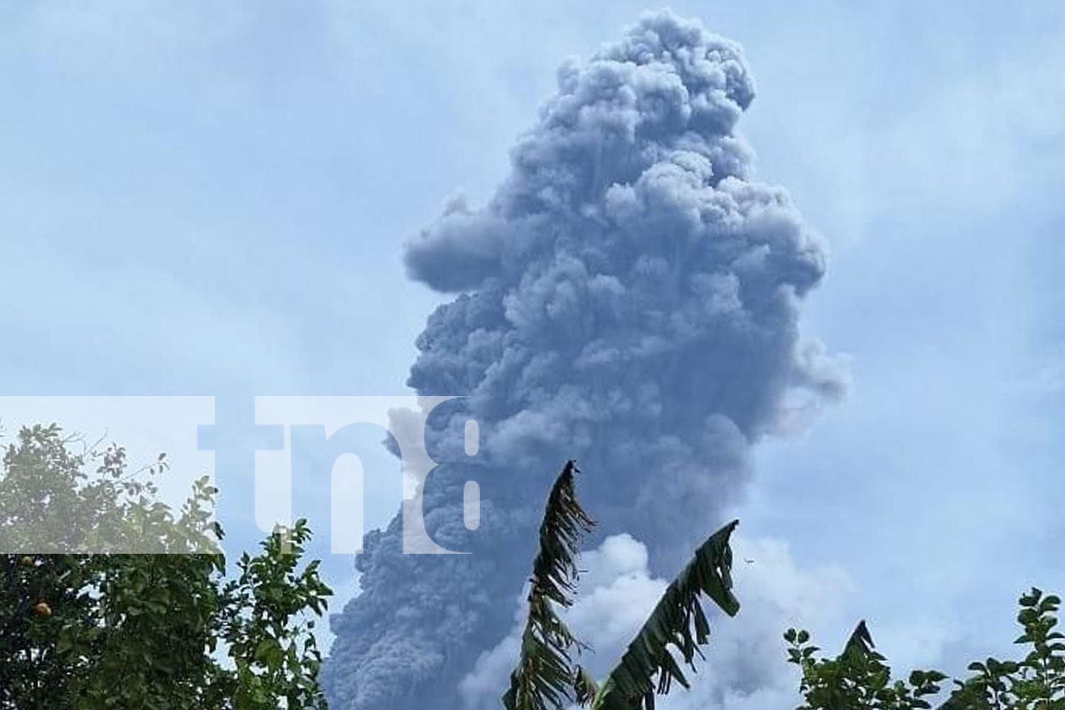 Foto: Emanación de gases y cenizas en el Volcán Concepción, Ometepe / TN8