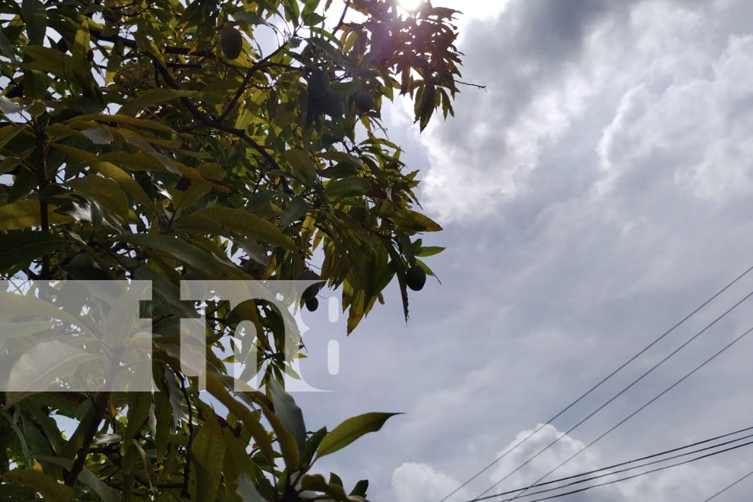 Foto: Pronóstico del clima en Nicaragua / TN8