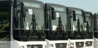 Foto: Nuevos buses chinos para cooperativas de Managua / TN8