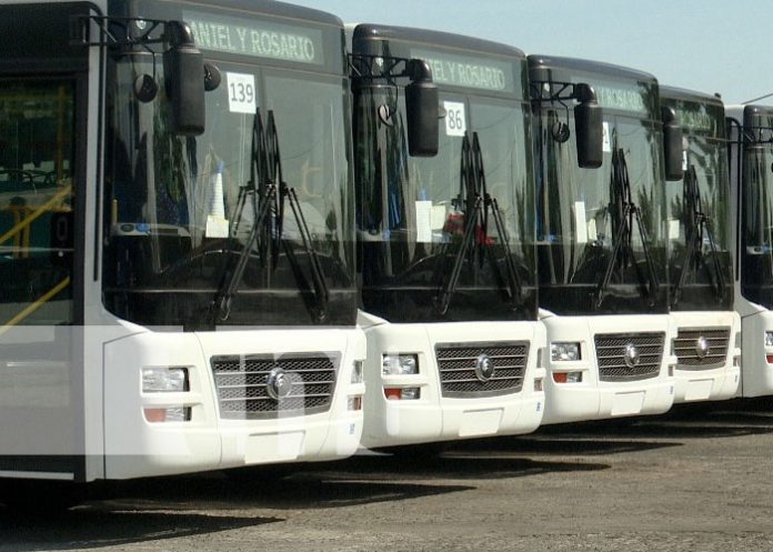 Foto: Nuevos buses chinos para cooperativas de Managua / TN8