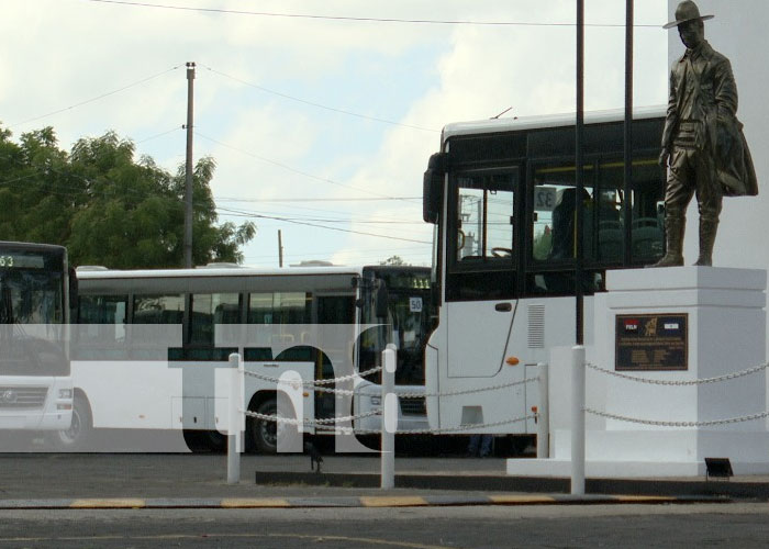 Foto: Nuevos buses chinos para cooperativas de Managua / TN8