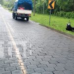 Foto: Accidente de tránsito deja a una mujer herida en Moyogalpa, Isla de Ometepe/TN8